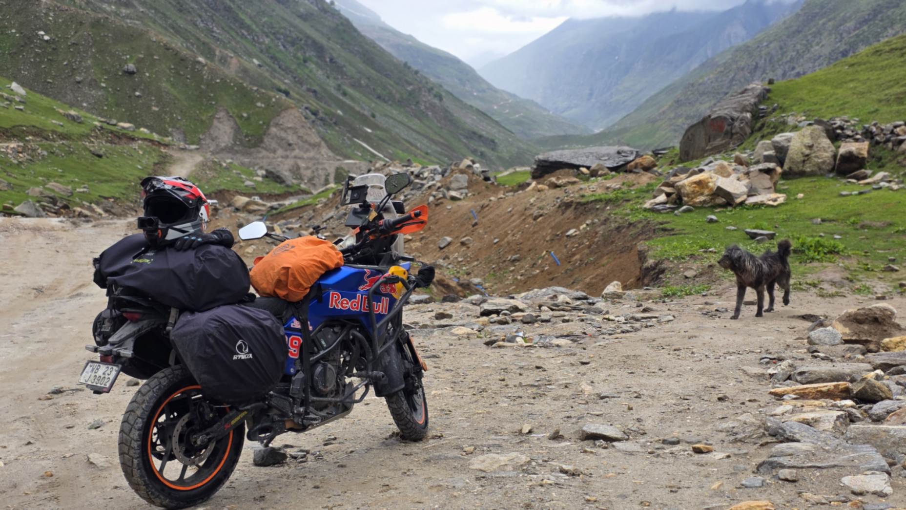 Bengal Passionate Riders Gallery Image 7